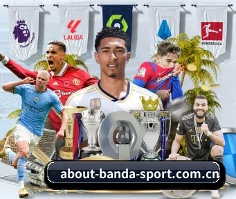 半岛综合 APP